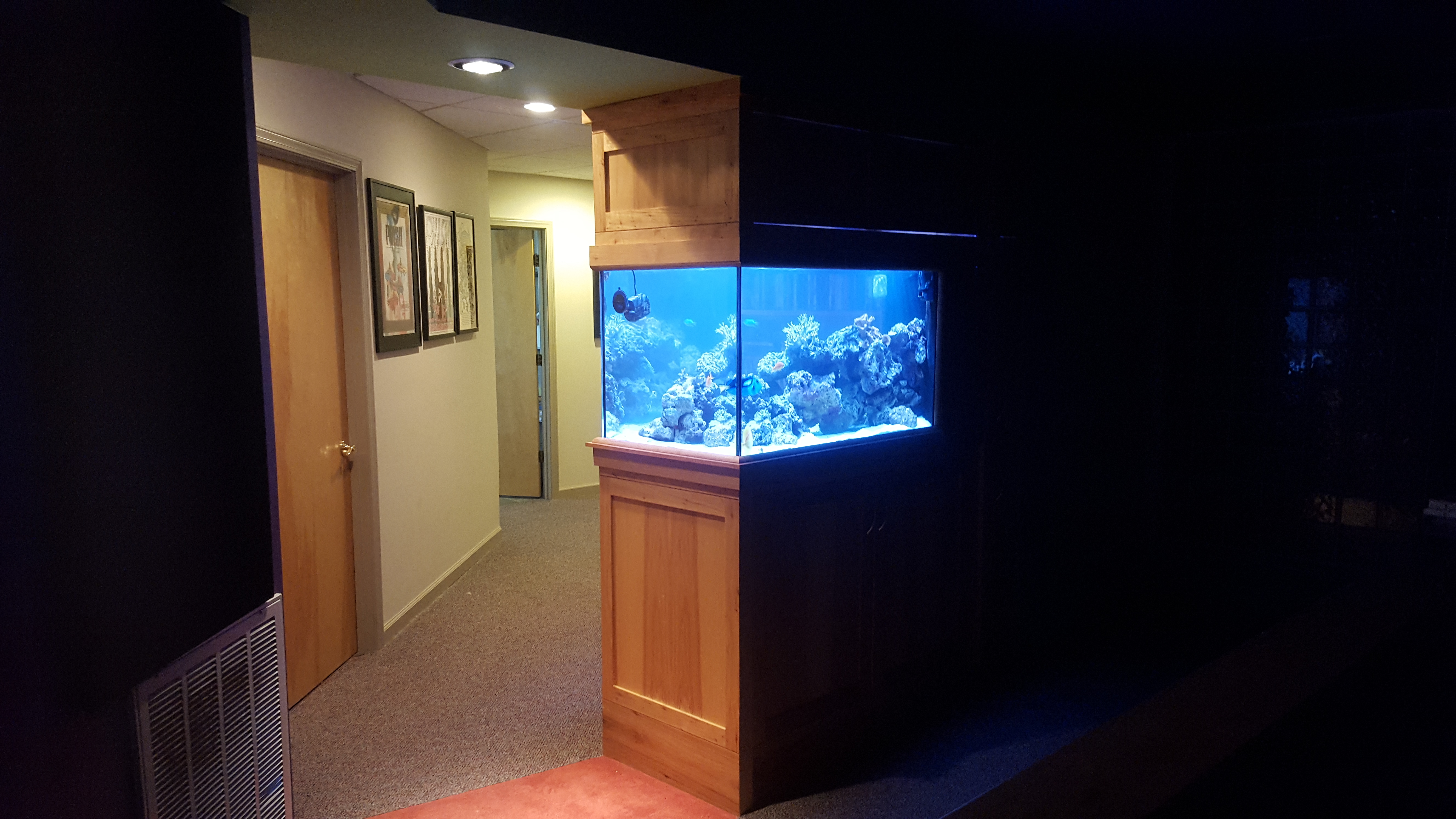 Saltwater and Fresh Water Aquariums